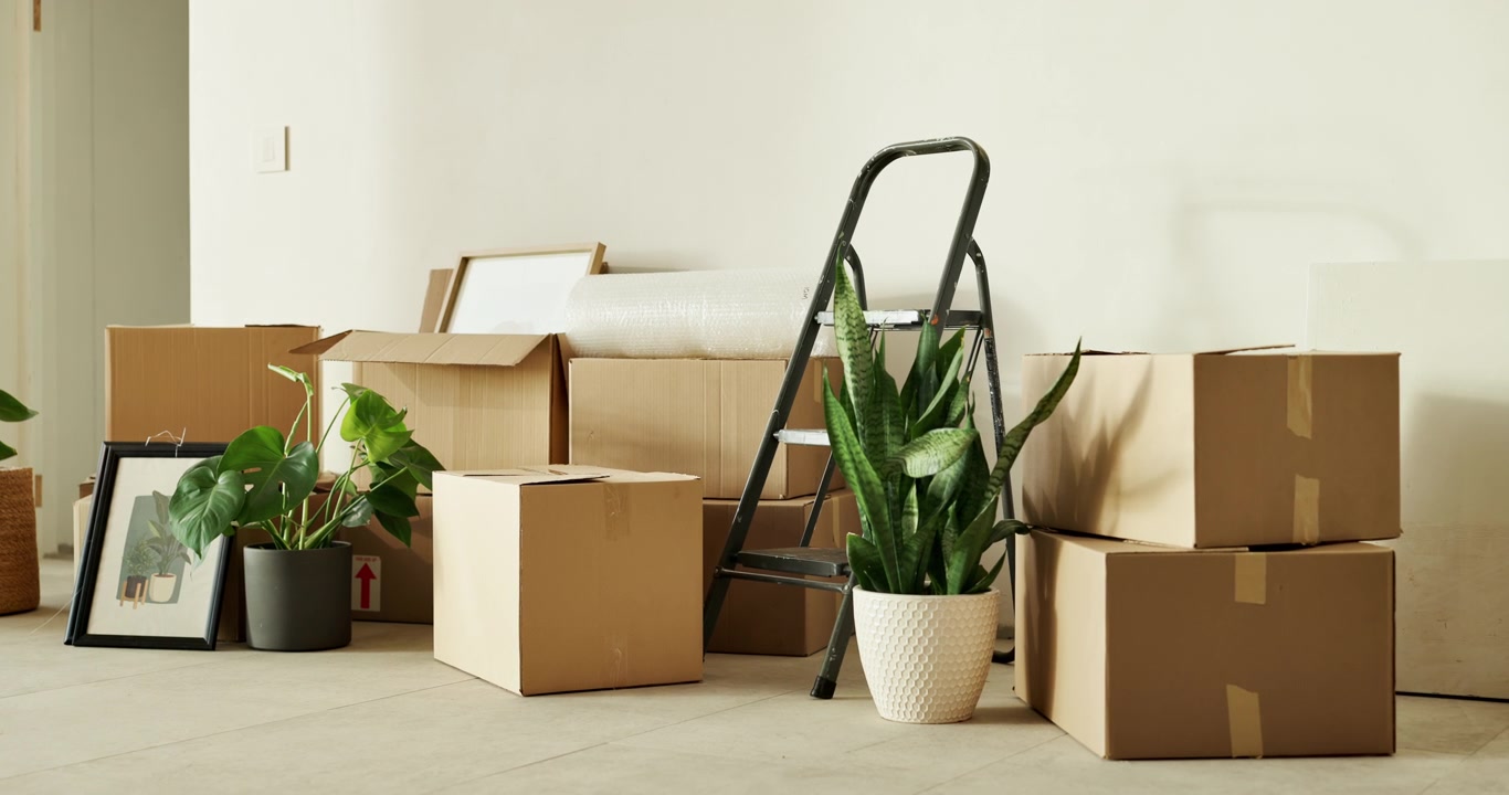 Cardboard Moving Boxes and Houseplants in an Empty Room