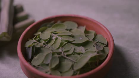 drumsticks leaves and drumsticks vegetable are very beneficial vegetables.