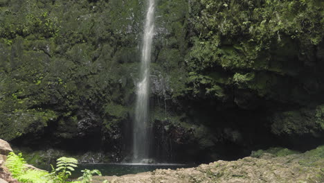 waterfall on levada caldeirao verde, madeira, portugal
