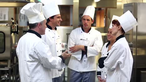 equipo de chefs charlando juntos