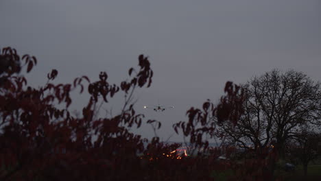 airplane is landing in the evening - view through the branches