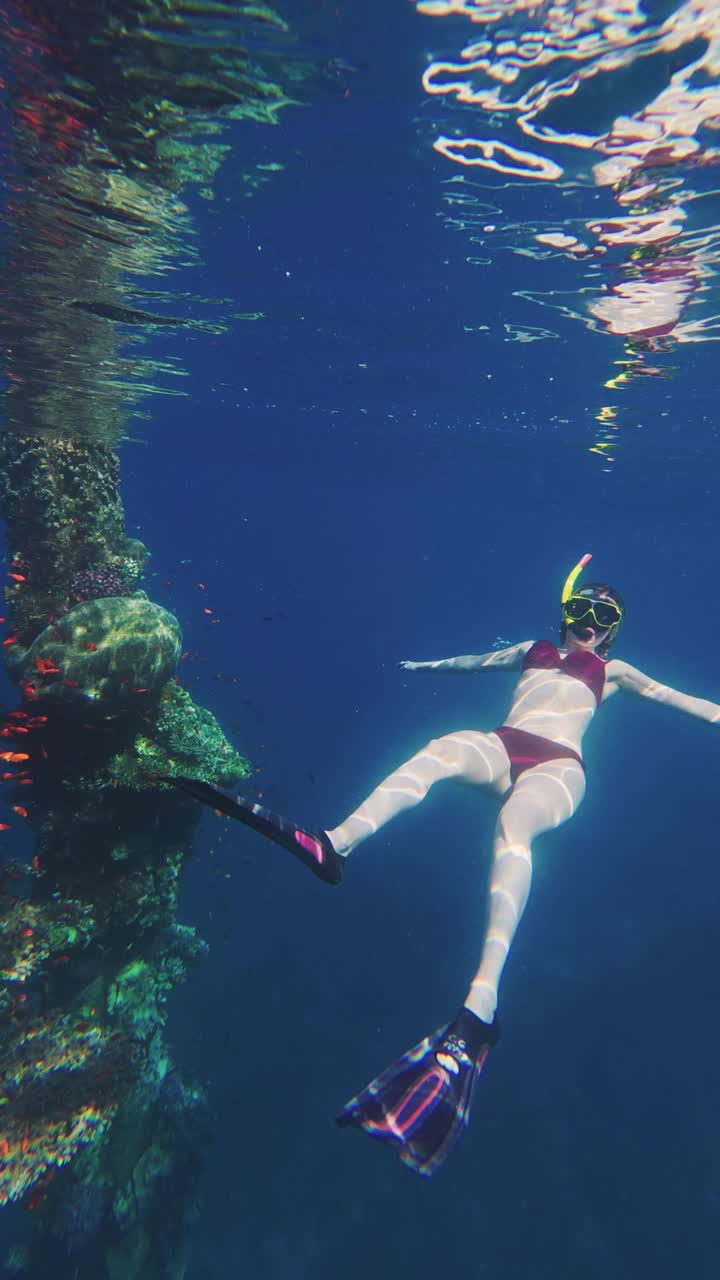 Snorkeling in the Red Sea, Aqaba, woman explores coral reef