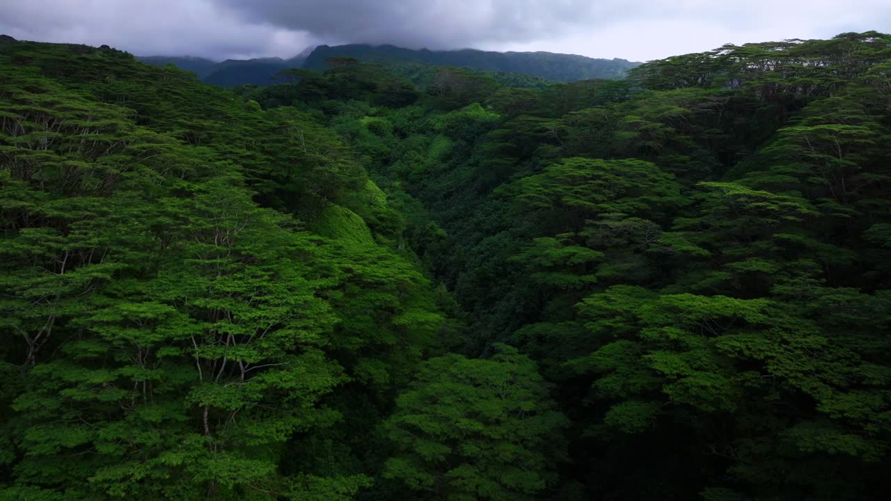 Tahiti island French Polynesia aerial drone tropical dense lush jungle flora forest Mahina Papeno'o mountainside valley Teahupoo Papeete Moorea Bora Bora Mont Orohena greenery sunny cloudy forward up