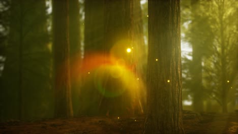 firefly-in-misty-forest-with-fog