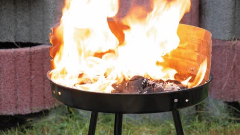 lighter fluid being squirted on barbecue grill - close up