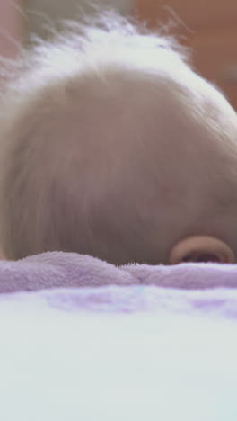active blue eyed boy in warm shirt tries to climb up on large soft bed in light children room close view
