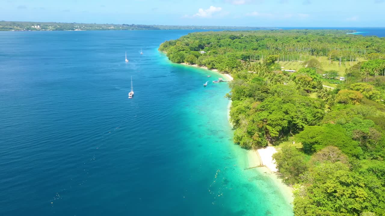 야자 정글이 있는 멜라네시아 바누아투의 태평양 섬에 좋은 공중