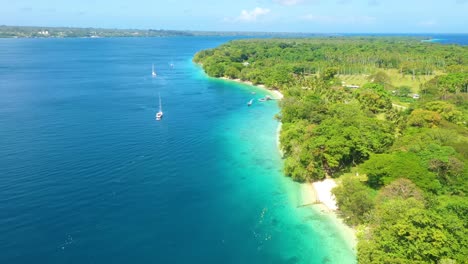 good aerial over the pacific islands of melanesia vanuatu with palm jungles