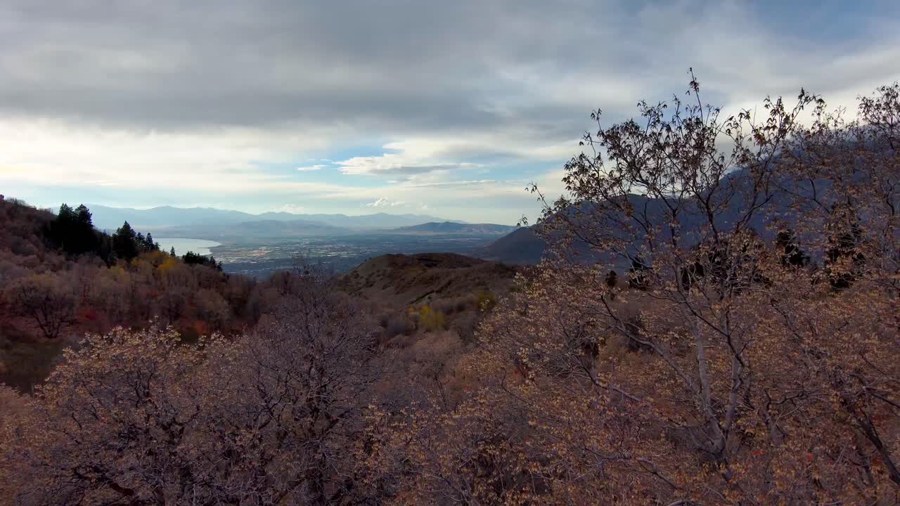 가을의 록키 산맥 아래 먼 마을 - 나무와 숲 바로 위의 조감도