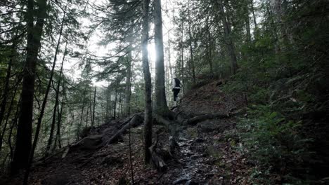 una mujer excursionista subiendo una pendiente empinada en el bosque en saint-come, quebec, canadá