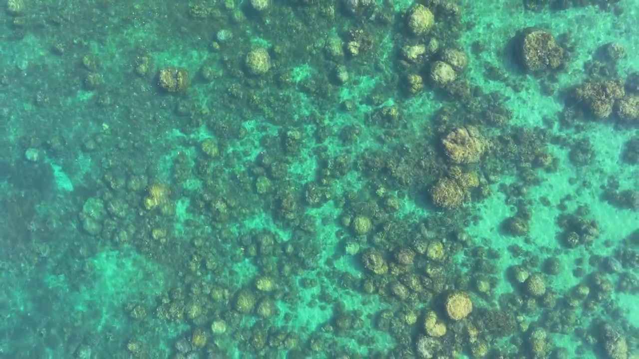 Ripresa aerea con drone in ascesa sopra la barriera corallina nelle acque basse di Liminangcong, Filippine.