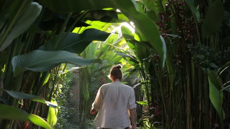 Caucasian-man-walking-away-between-tropical-trees