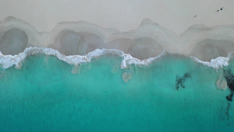 birdseye aerial view, tropical sea waves breaking on an empty white sand beach, ascending top down drone shot