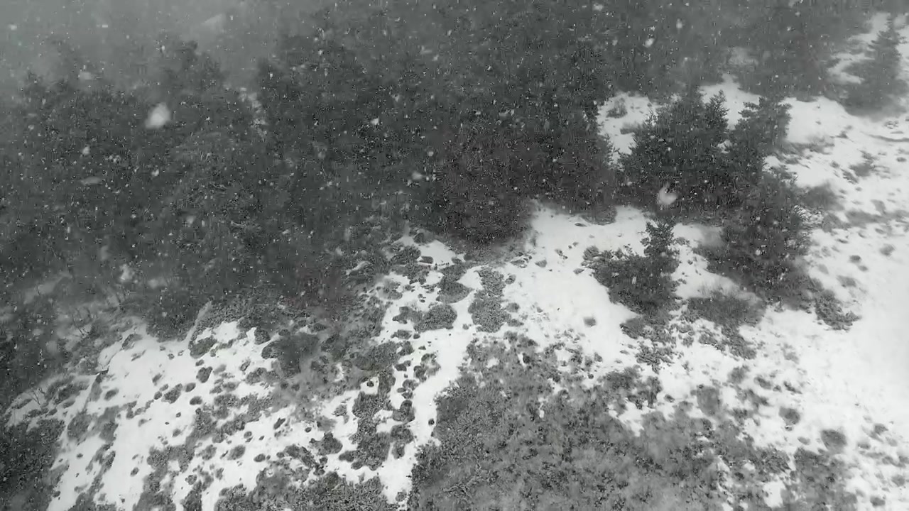 Aerial View of Snowy Forest During Heavy Snowfall
