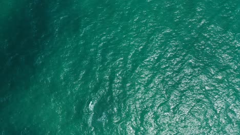 dark green sea texture with vibrant water reflecting sunlight of a hot summer day, coral patterns seen through clear water, antigua