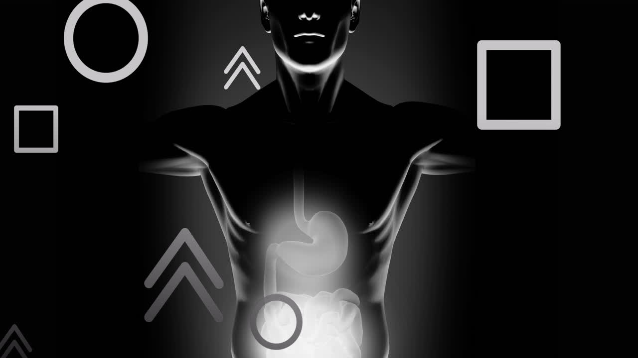 인체 모델 위에 떨어지는 모양의 애니메이션