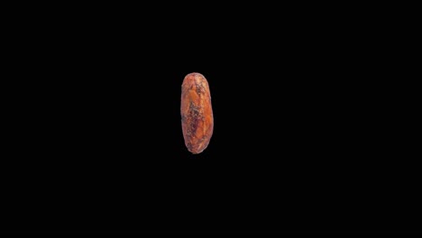 rotating cocoa bean isolated on editable black background stereoscopic visualisation