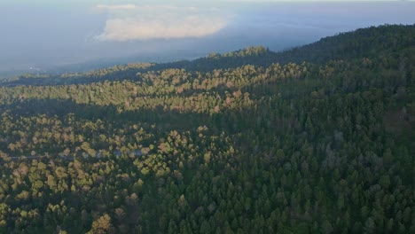 Flying-above-rain-forest-in-high-altitude