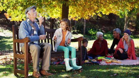 Tres-Generaciones-De-Familia-Divirtiéndose-Al-Aire-Libre