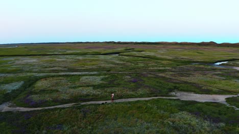 island of texel in the netherlands, vast coastal salt marshes, aerial view