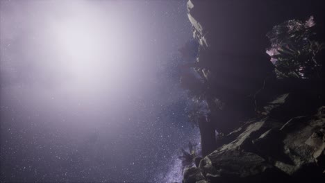 rutas de estrellas de astrofotografía de 4k sobre las paredes del cañón de piedra arenisca
