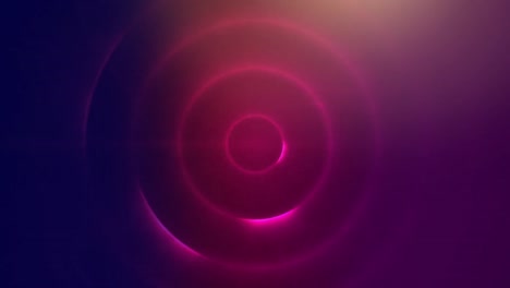 purple concentric circles