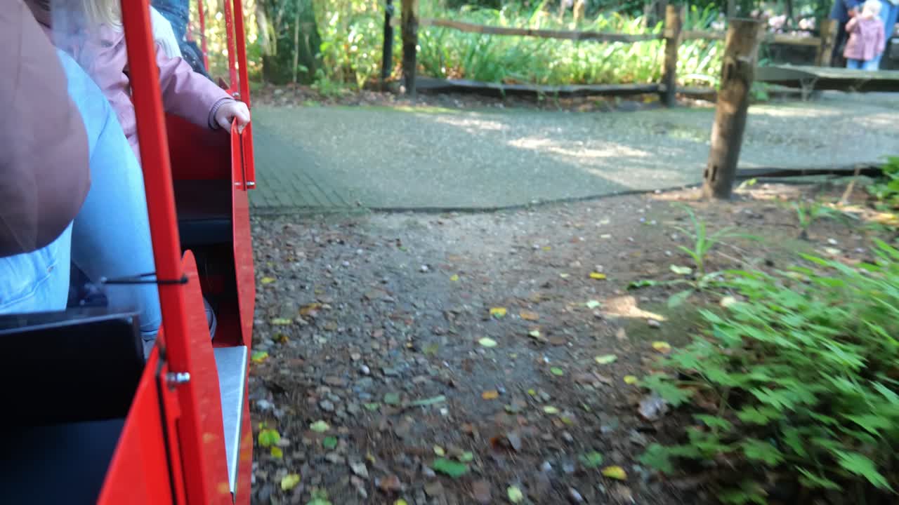 dierenpark amersfoort 기차는 네덜란드 위트레흐트 amersfoort의 동물원 주변을 여행합니다.