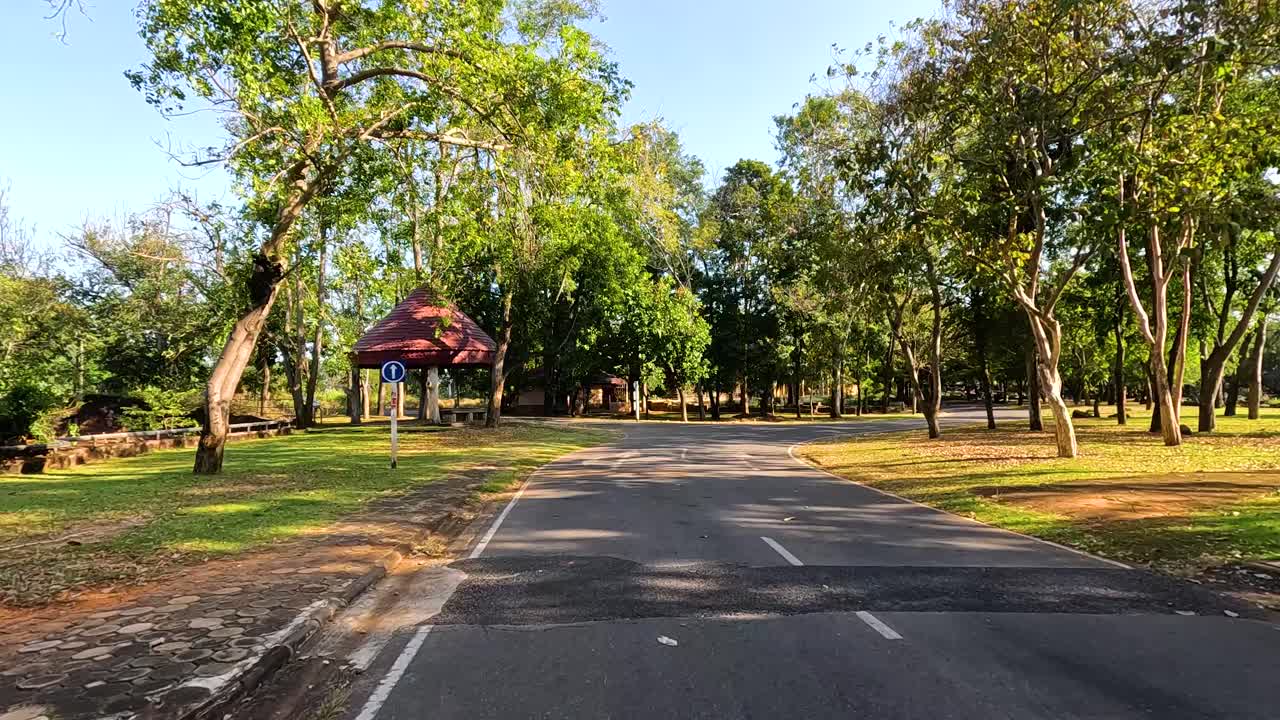camino del parque con árboles en un día soleado