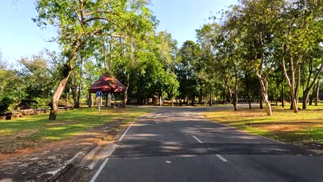 park path with trees on a sunny day