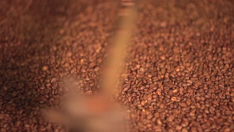 semillas de café en la industria