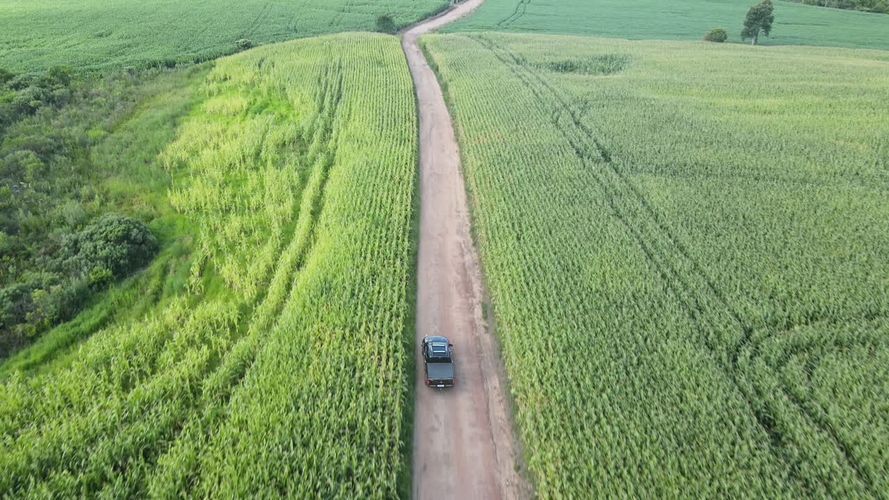 camioneta en la carretera de la plantación de maíz en una granja, vista de drones