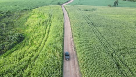 Camioneta-En-La-Carretera-De-La-Plantación-De-Maíz-En-Una-Granja,-Vista-De-Drones