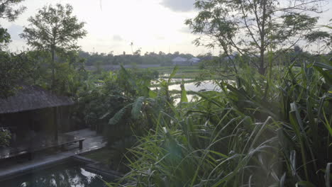 Mirando-Fuera-De-Una-Ventana-En-Bali,-Indonesia