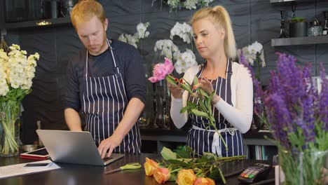 workers in shop with laptop