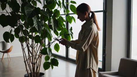 woman pruning a large indoor plant