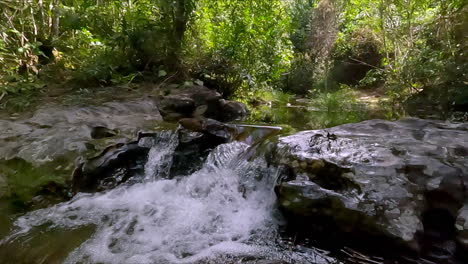 slow motion close-up of water flowing gently over smooth rocks in a forest creek. ideal for themes of nature, tranquility, mindfulness, and environmental serenity