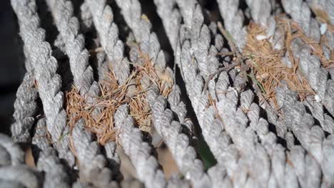 close-up of a weathered rope chair with dried leaves