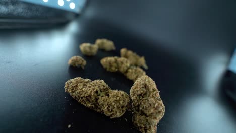 un primer plano detallado de una grúa moviéndose hacia atrás de una planta de cannabis, cepas híbridas de flores de marihuana, indica y sativa, cámara lenta de 120 fps en alta definición, iluminación de estudio cinematográfico, luces led