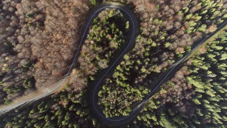 Aerial-above-perfect-meandering-road-surrounded-by-pine-tree-forest