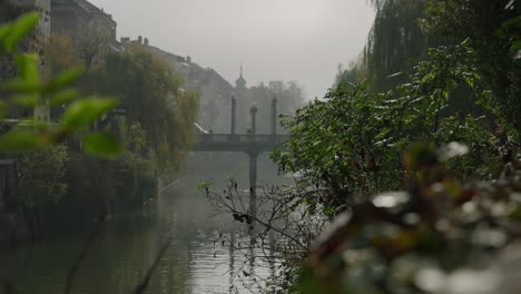 sideways shot of cobblers bridge of ljubljana city in slovenia