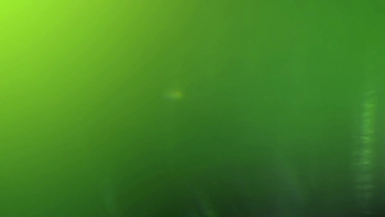 Abstrakt grønne lyslækager og linseflare-overlay