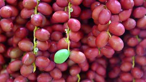 fresh emirati dates displayed during the dates festival in the united arab emirates