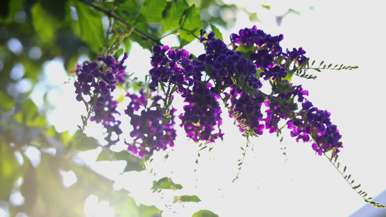 요코하마의 아름다운 풍경