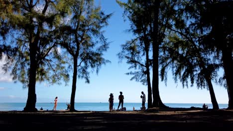 a panning time lapse of a beach taken from under the nearby trees