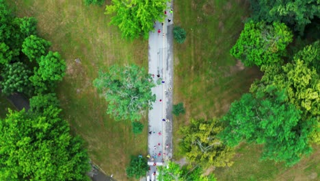 beautiful aerial shot of runners through the woods
