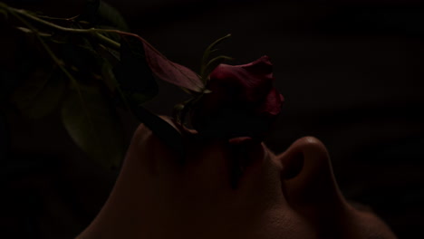 beautiful close up of a rose gently caressing the face of an attractive woman in a dark room
