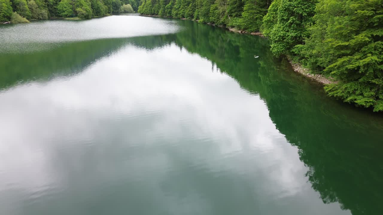 Lake Biograd crystal clear water surrounded by dense forests of Biogradska Gora National Park, aerial closeup