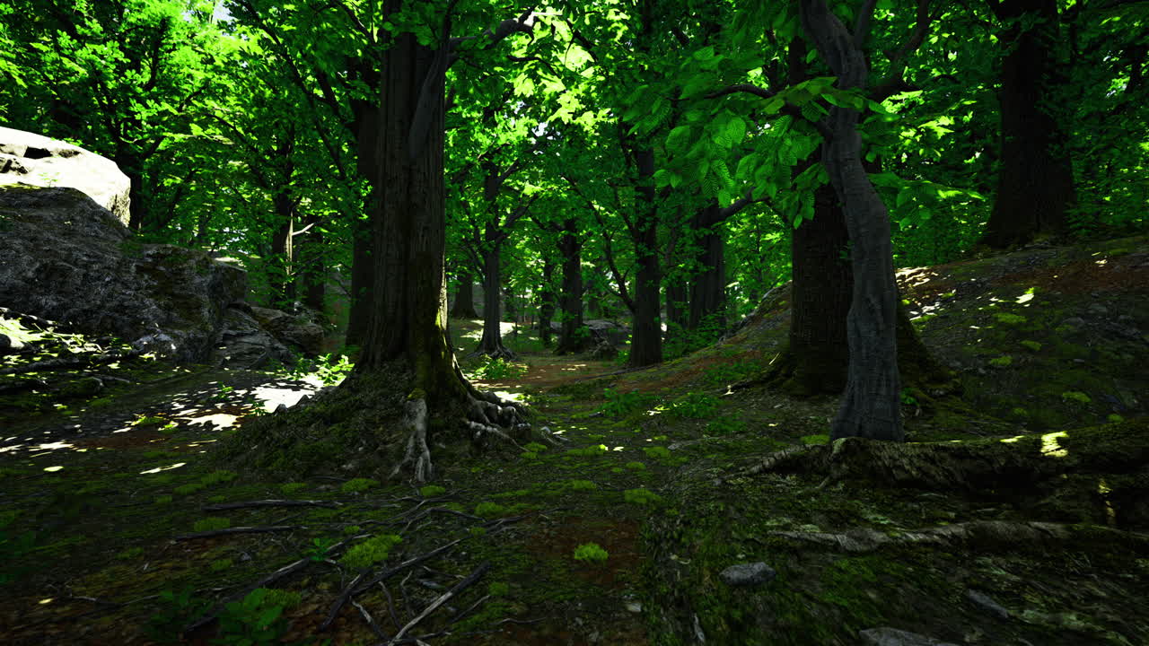 Lush forest landscape with vibrant green foliage and rocky terrain