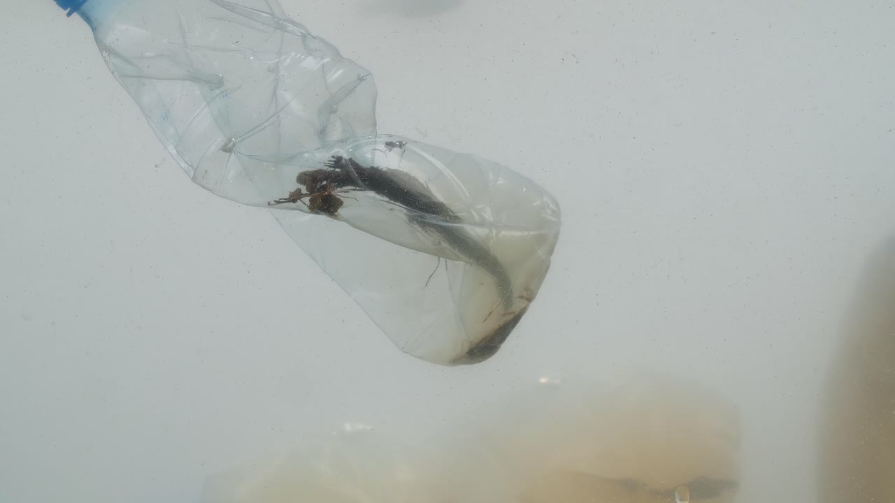 바다에서 플라스틱 오염 문제 개념의 수중 영상