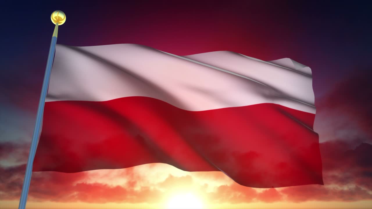 4k 폴란드의 매우 상세한 발 loopable